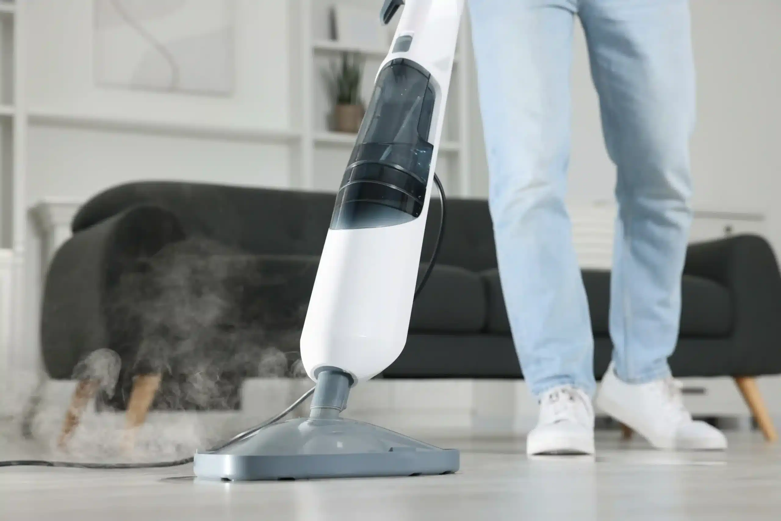 mop parowy